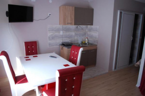 Apartmani ,studija i sobe Savić